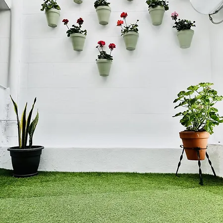 Blue & Appartement *